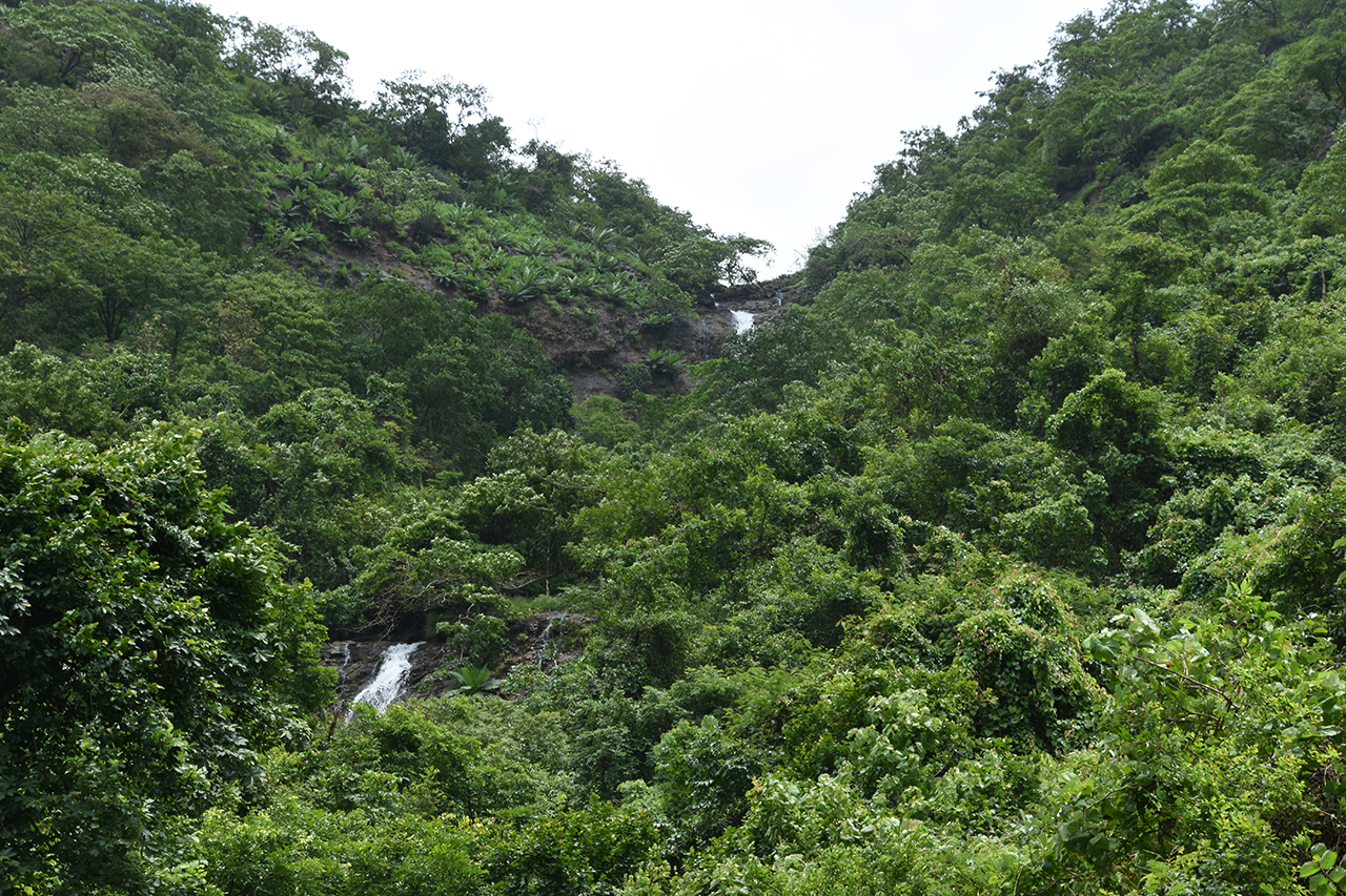 Waterfall on the way between Chiplun and Mahad